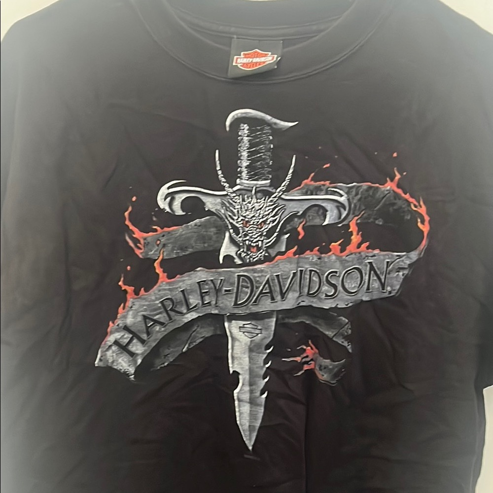 Harley-Davidson Black Graphic T-Shirt for Men